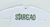 Siargao Jungle Haven White Short Sleeve Crew T-Shirt Souvenir