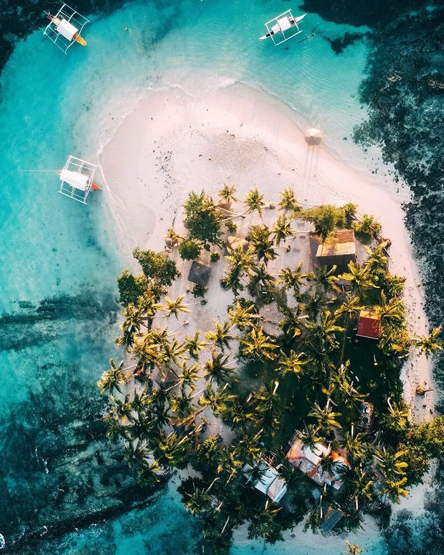 Aerial view showing crystal clear water, white beach and coconut trees in Guyam, Siargao