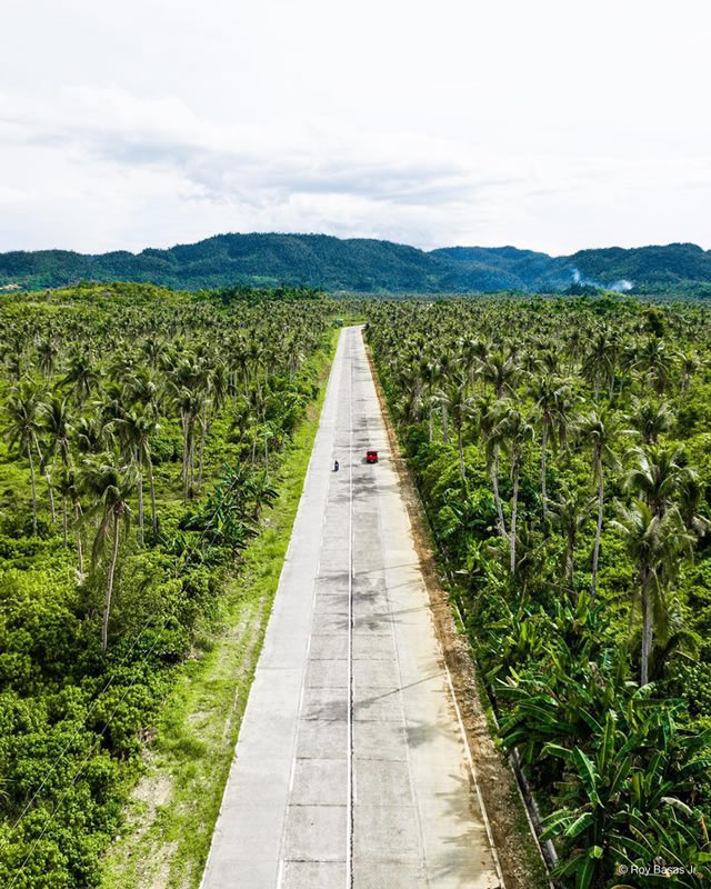The iconic Coconut Road in Siargao Island
