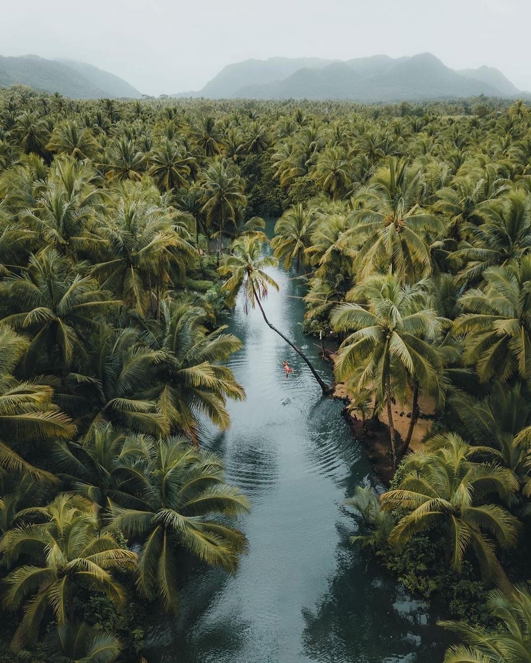 Aerial view of Maasin River in Siargao